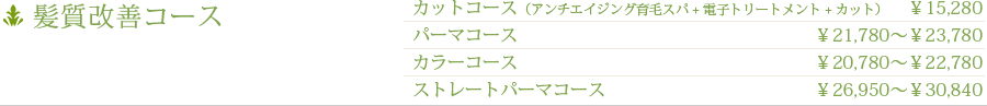 髪質改善コース